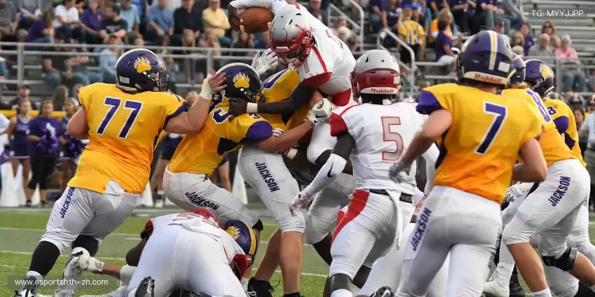 🎙️深度解读，冠军之路！🏆揭秘赛场背后的热血与汗水！